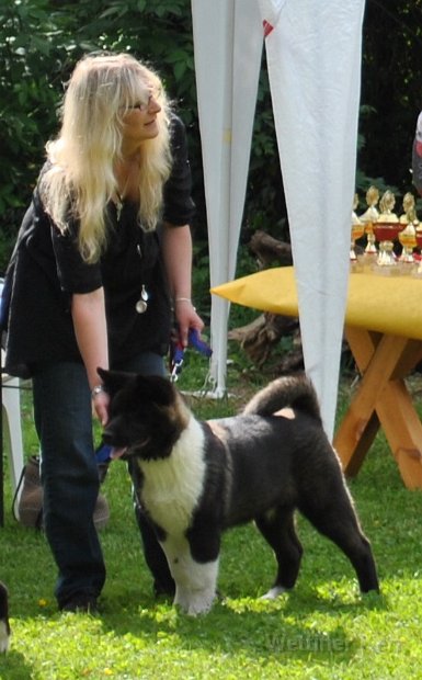 2010_06_06 013